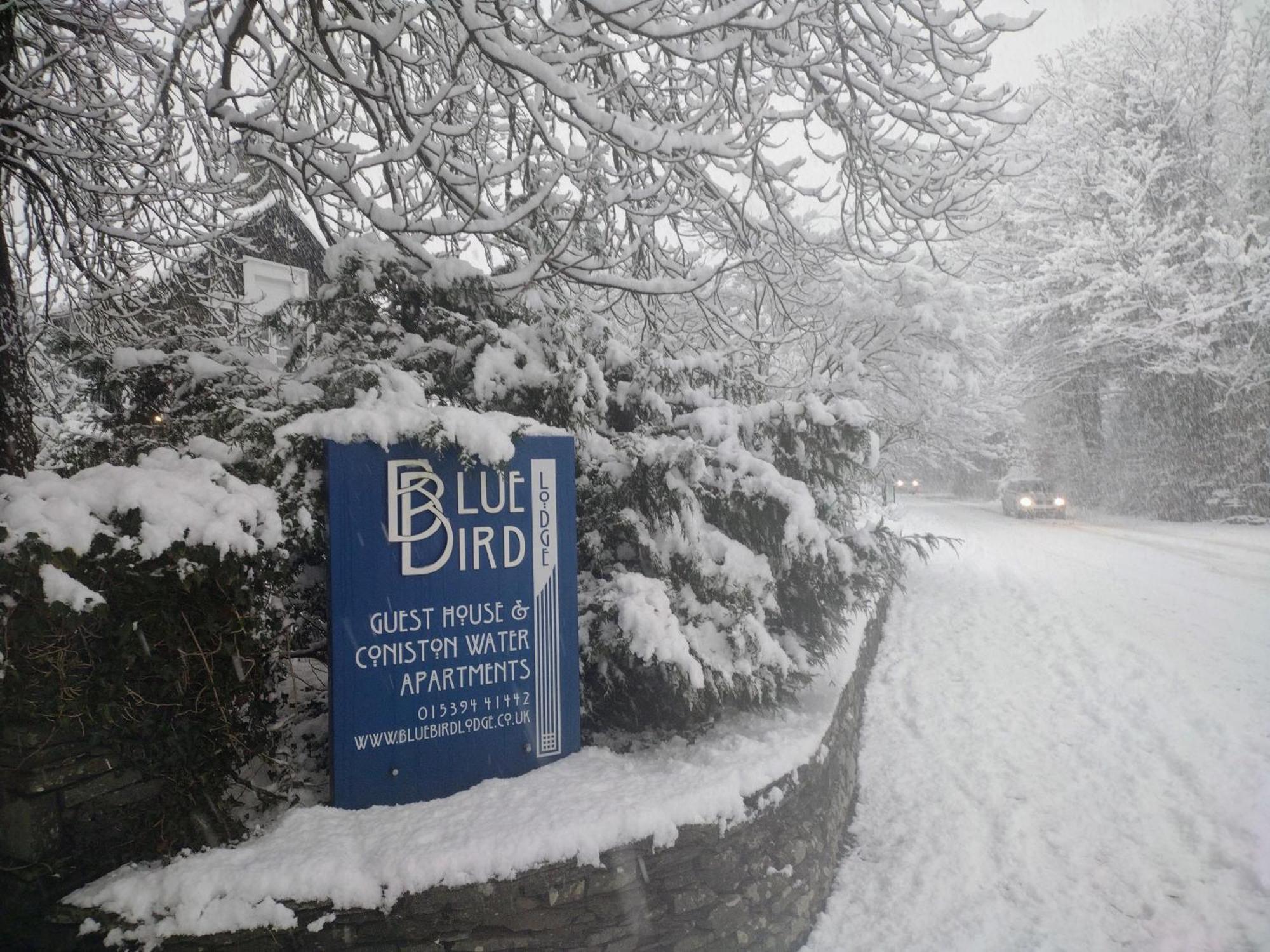 Bluebird Lodge Coniston Esterno foto